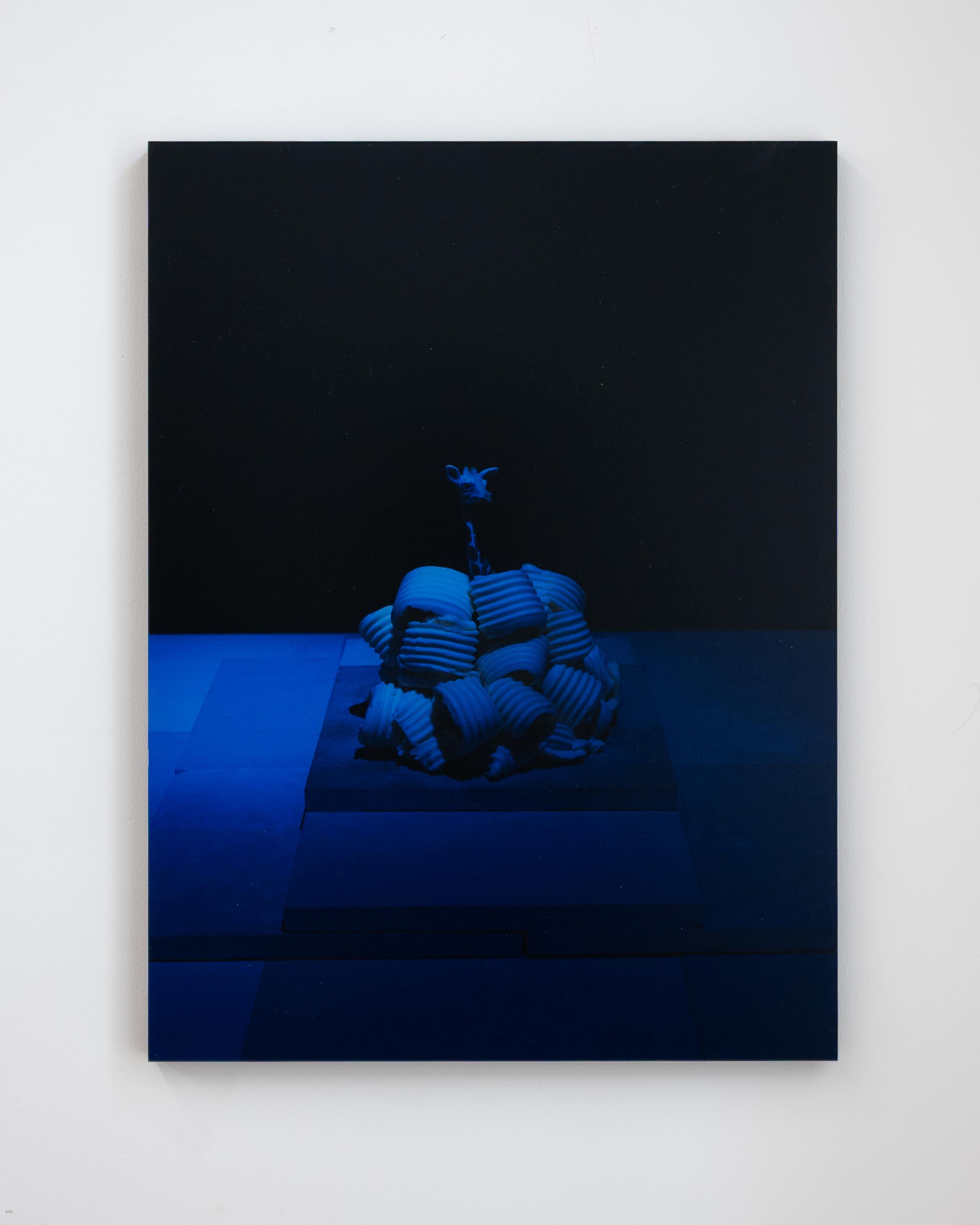 Nature morte_The Sanctimonious, 2021 by Stephanie Stern © Gabriel Hauer