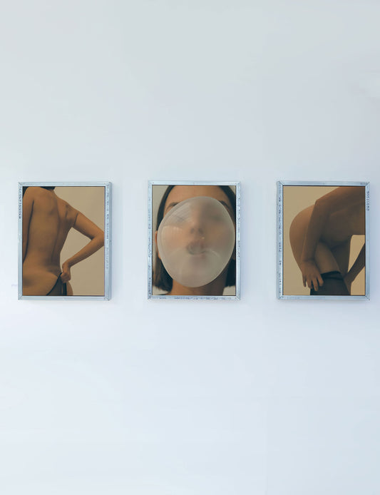 “flesh and skin” (triptych, edition of 3)